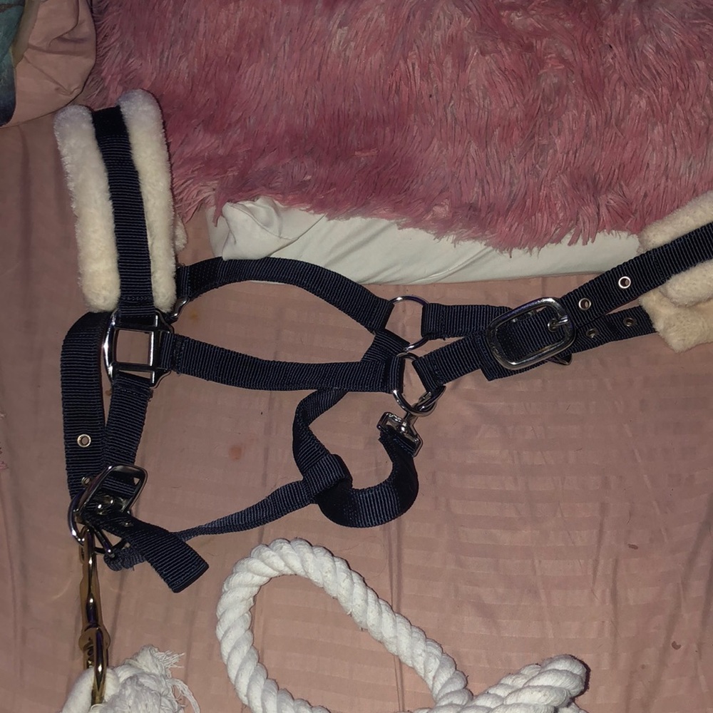 fluffy horse halter with lead rope